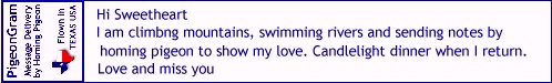 message example